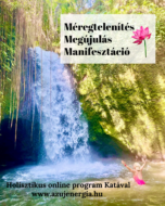 Tavaszi Megújulás – Holisztikus 7 Napos Detox